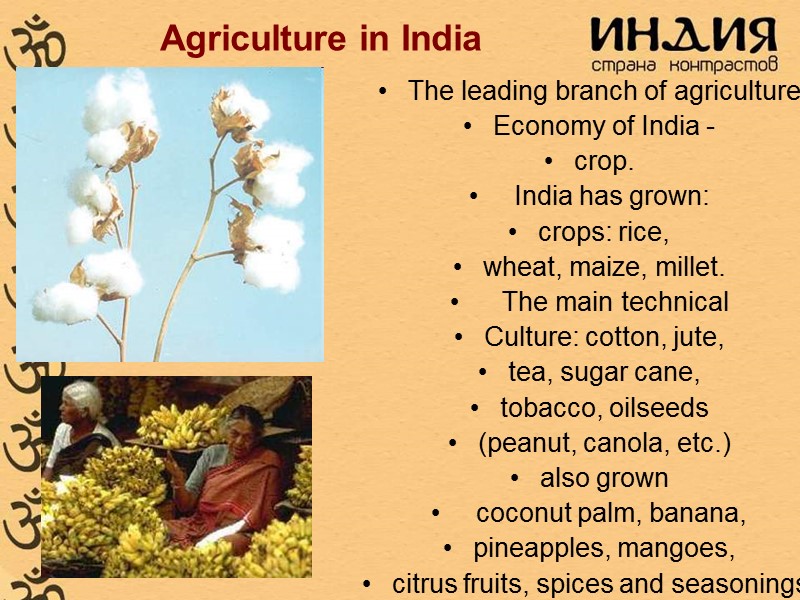 Agriculture in India The leading branch of agriculture Economy of India - crop. 